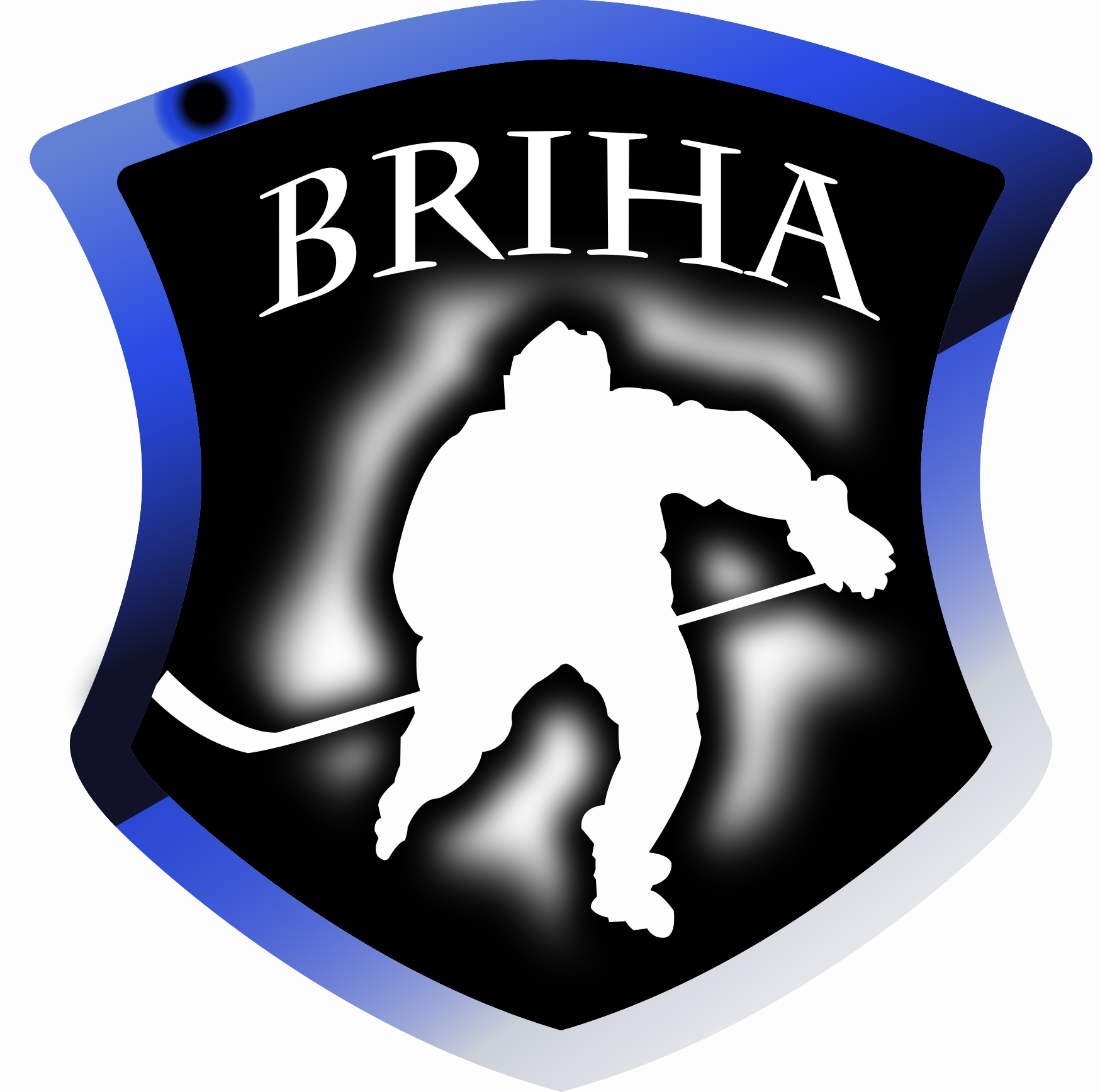 Rules – BRIHA